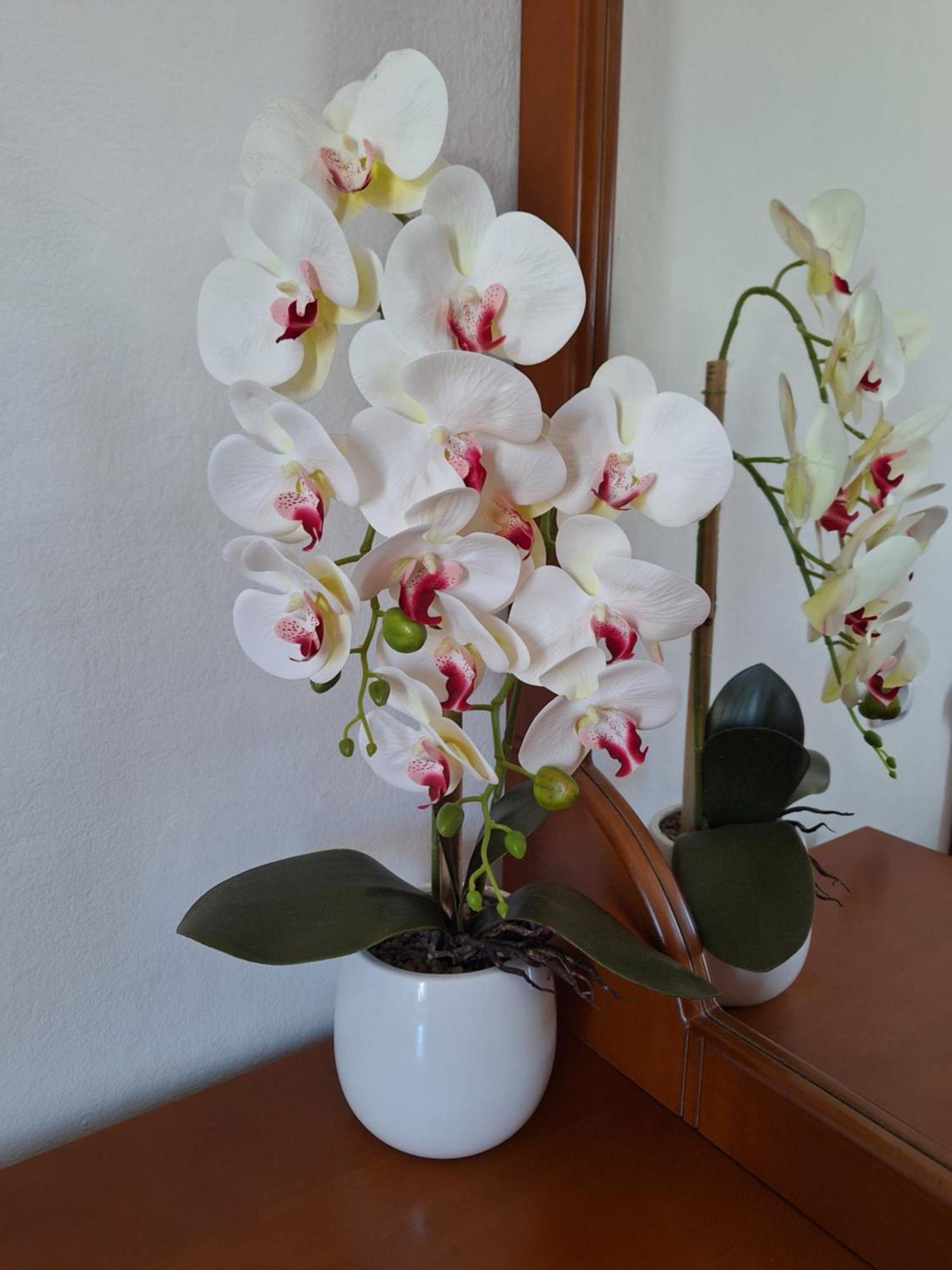 Bask Apartament